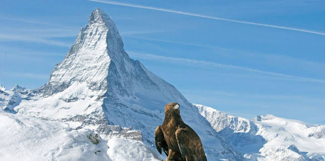 20:15: Wilde Alpen (2/2) | SWR Fernsehen BW | 2/22 2026