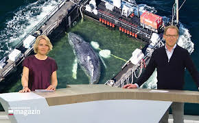 Schleswig-Holstein Magazin