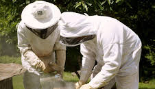 Die Bienenflüsterer