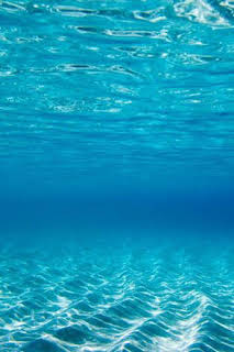 14:30: UIM F1H2O World Championship | CNBC | 4/5 2026