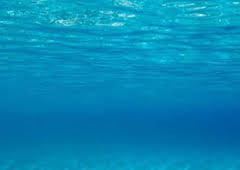 UIM F1H2O World Championship