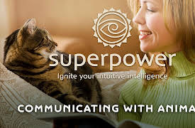 Superpower: Ignite Your Intuitive Intelligence: Communicating with Animals