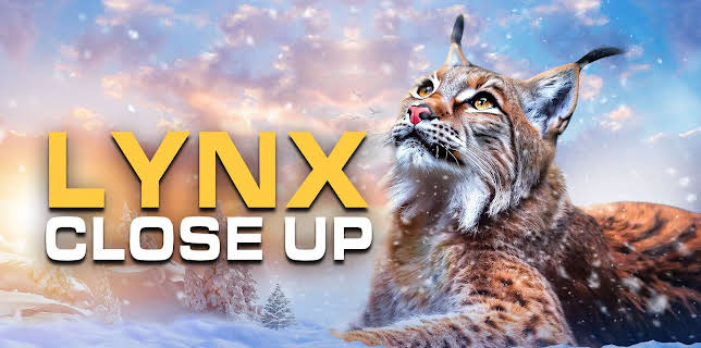 Lynx - Close Up (2019)
