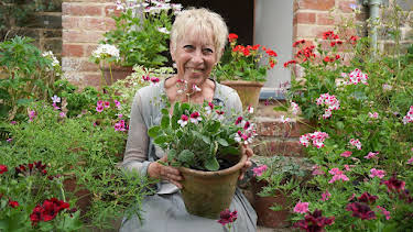 2:30 PM: Carol Klein's Summer Gardening (S1 E4) (S1) | Channel 5 | 6/13 2026