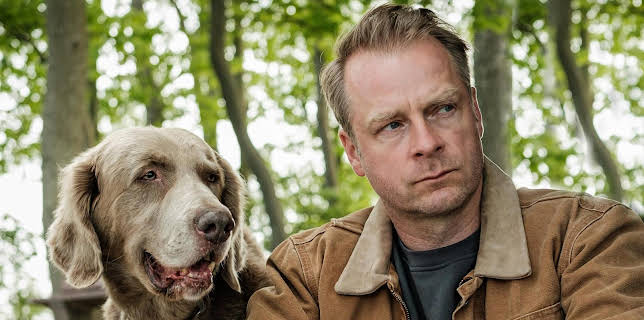 22:15: Nord bei Nordwest - Kobold Nr. Vier | WDR Fernsehen | 2/19 2026