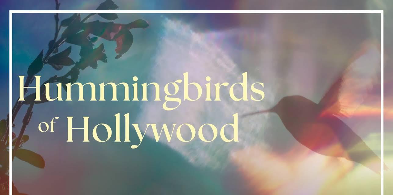 Hummingbirds of Hollywood (2024)