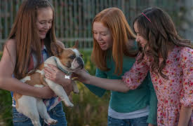 Just Add Magic: Just Add Dogs