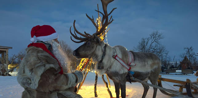 12:55: Tierische Weihnachten | Das Erste | 12/21 2025