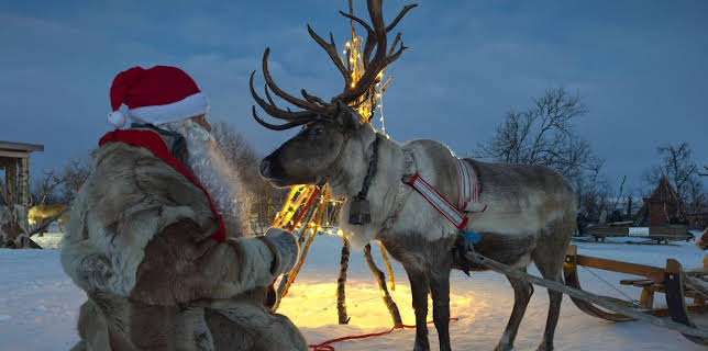 Tierische Weihnachten