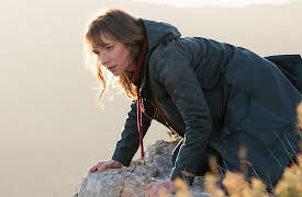 Family Cases (English Subtitles): Family Cases, Part 1 (English Subtitles)