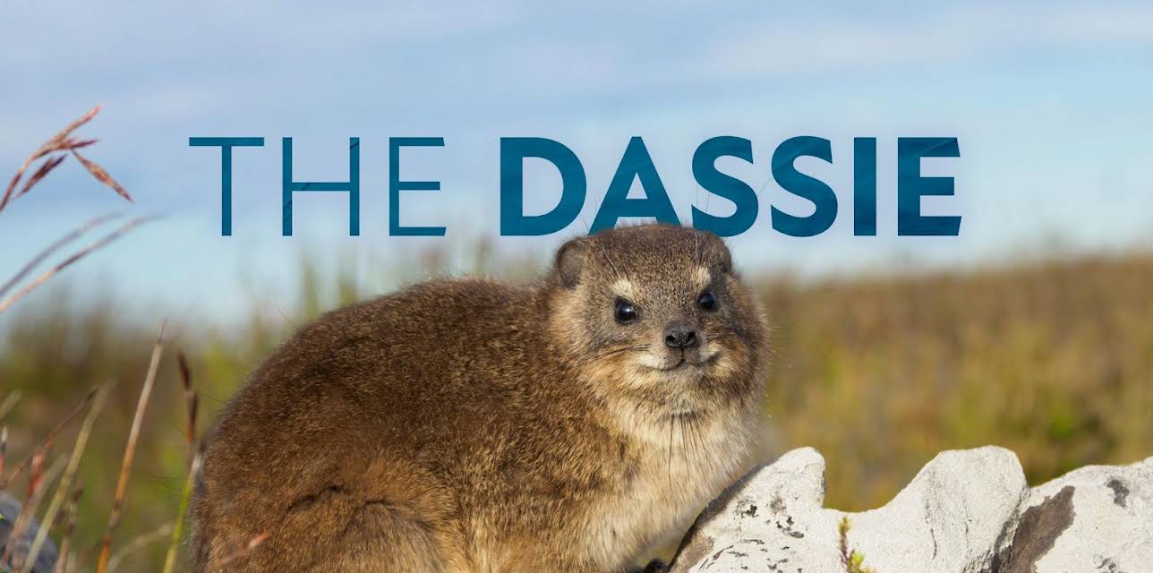 The Dassie (2026)
