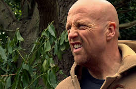 Impossible Builds: Ancient Woodland Home