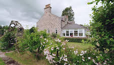 En plats på landet (S31 E39)