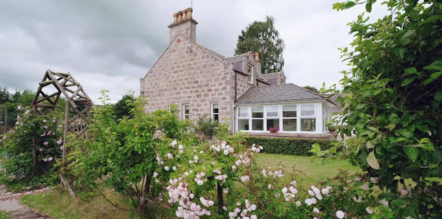 09:15: En plats på landet (S31 E39) (S31) | TV8 | 2/26 2026