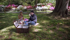 The Real Housewives of Potomac (S8 E1)