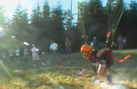 Sports Gone Wild: Season 1 Sports Gone Wild: Octopus vs Snorkeler, Cycle Racer Dominoes, Sky Diving