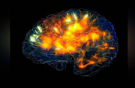 The School of Tomorrow: Bettering the Brain