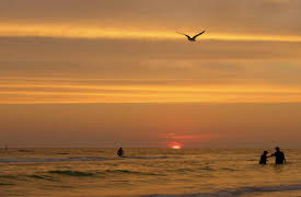 Siesta Key Season 1: Alex Won't Kompomise