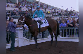 Jockeys Season 1: Starting Gate