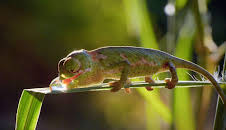 Kenia - Eine Oase im Sand (1/2)