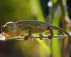 Kenia - Eine Oase im Sand (1/2)