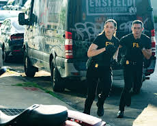 FBI: Special Crime Unit
