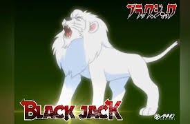 Black Jack S1: Solomon, Move!