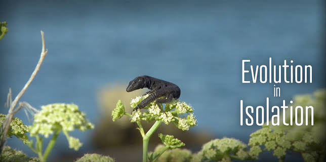 Evolution in Isolation (2016)