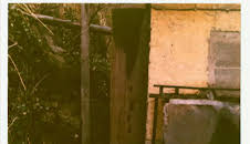 Wahre Verbrechen Das tote Mädchen im Schlossgarten