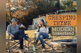 Modern Homestead: Creeping Thyme