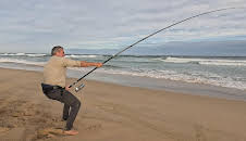 Giganten unter Wasser - Riesenfischen auf der Spur