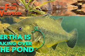 The Fish Whisperer: Bertha is Taking Over the Pond!
