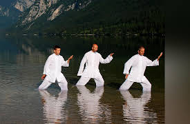 Essentials of Tai Chi and Qigong: Mental and Physical Flow