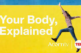 Acorn TV x TED: Transform Your Thinking: Series 1: Your Body, Explained