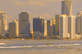 CSI: Miami: Count On Me