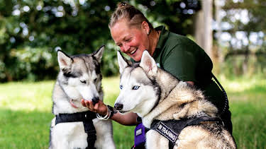 6:50 PM: The Dog House | More 4 | 9/25 2026