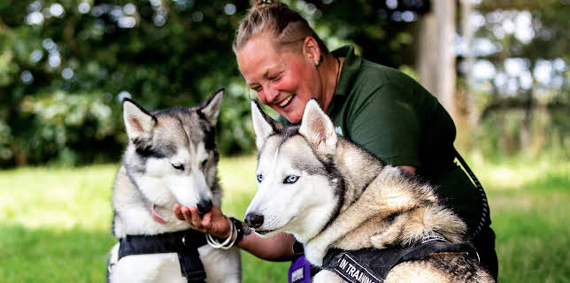 7:55 PM: The Dog House | More 4 | 1/5 2026