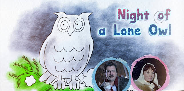 Night of a Lone Owl (2012)
