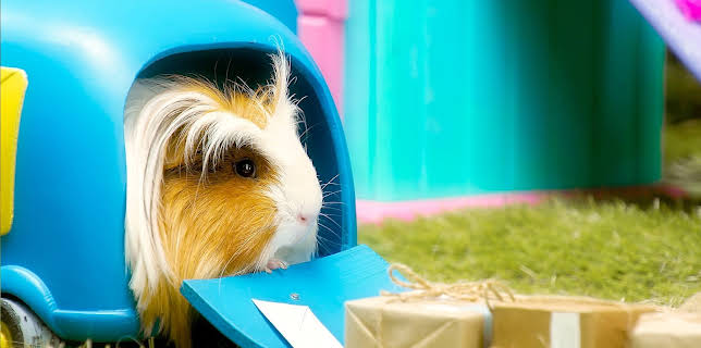 17:20: Rosin og Bolle: Postbil på rømmen | NRK 3 | 2/21 2026