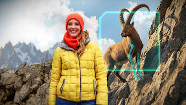 13:15: Supertiere made in Bavaria | BR Fernsehen | 8/2 2026