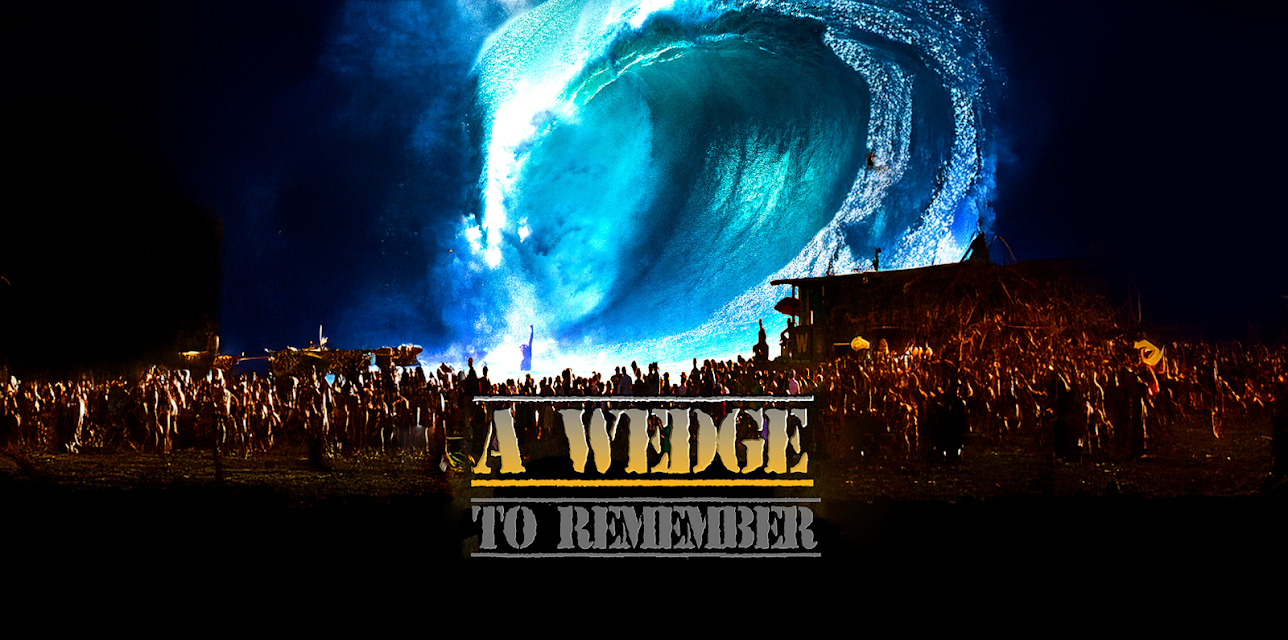 A Wedge to Remember (2014)