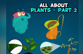 Learn With Dr. Binocs: All About Plants - Part 2