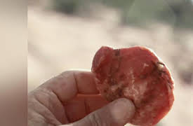 No Man's Land Season 1: Sandmen