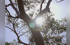 Soul Mates Season 1: Self Destruction