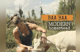 Modern Homestead: Baa Baa