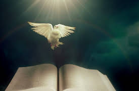 Forbidden Knowledge: Season 1: Forbidden Knowledge: Secrets of Ancient Temples and Monoliths