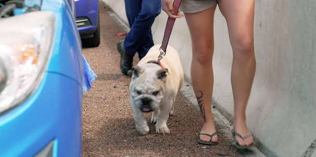 12:05: Police Force - Einsatz in Neuseeland | ProSieben Maxx | 1/20 2026