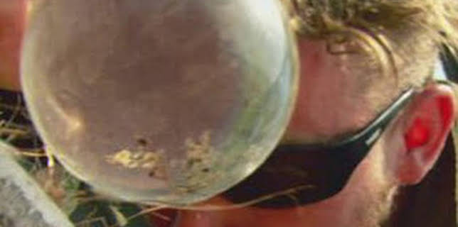 17:35: Dúo de supervivientes: Isla en llamas | Discovery | 3/1 2026