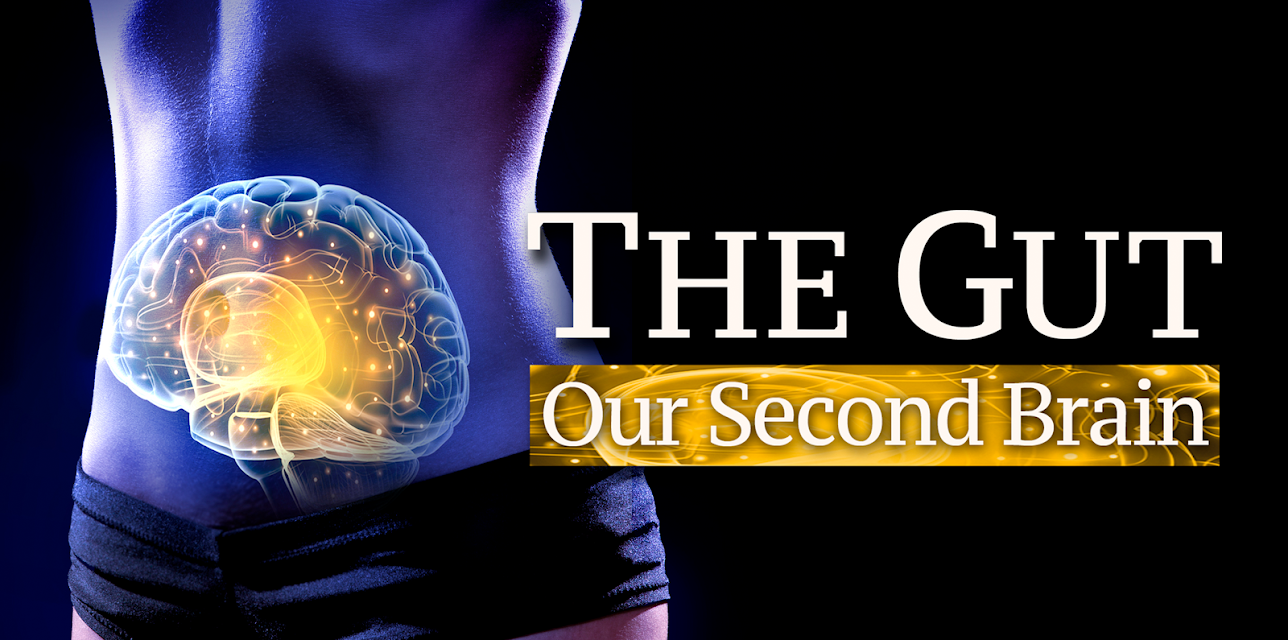The Gut: Our Second Brain (2013)