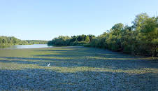 Das Geheimnis der Au